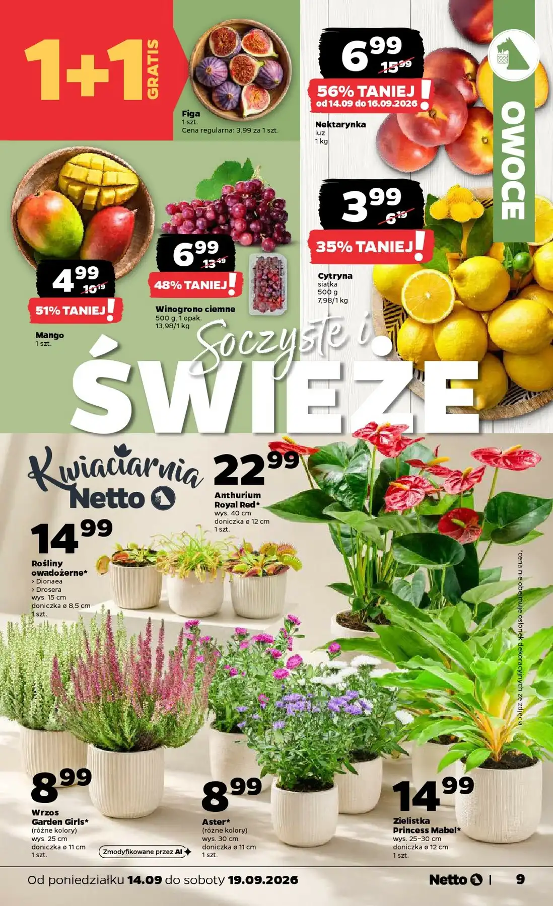 Netto