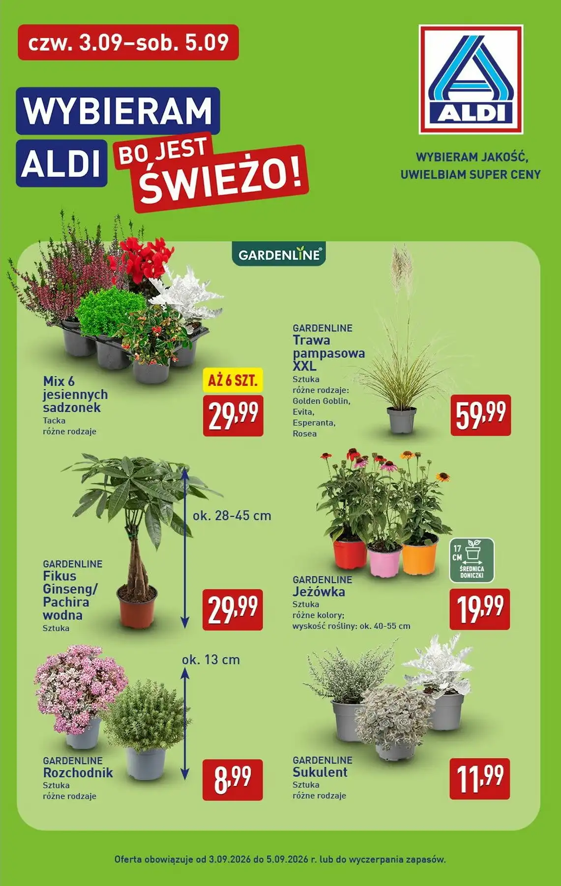 Aldi Gazetka Promocyjna Od 03.09.2026 – 05.09.2026 - Zdjęcie 1 Od 03.09.2026