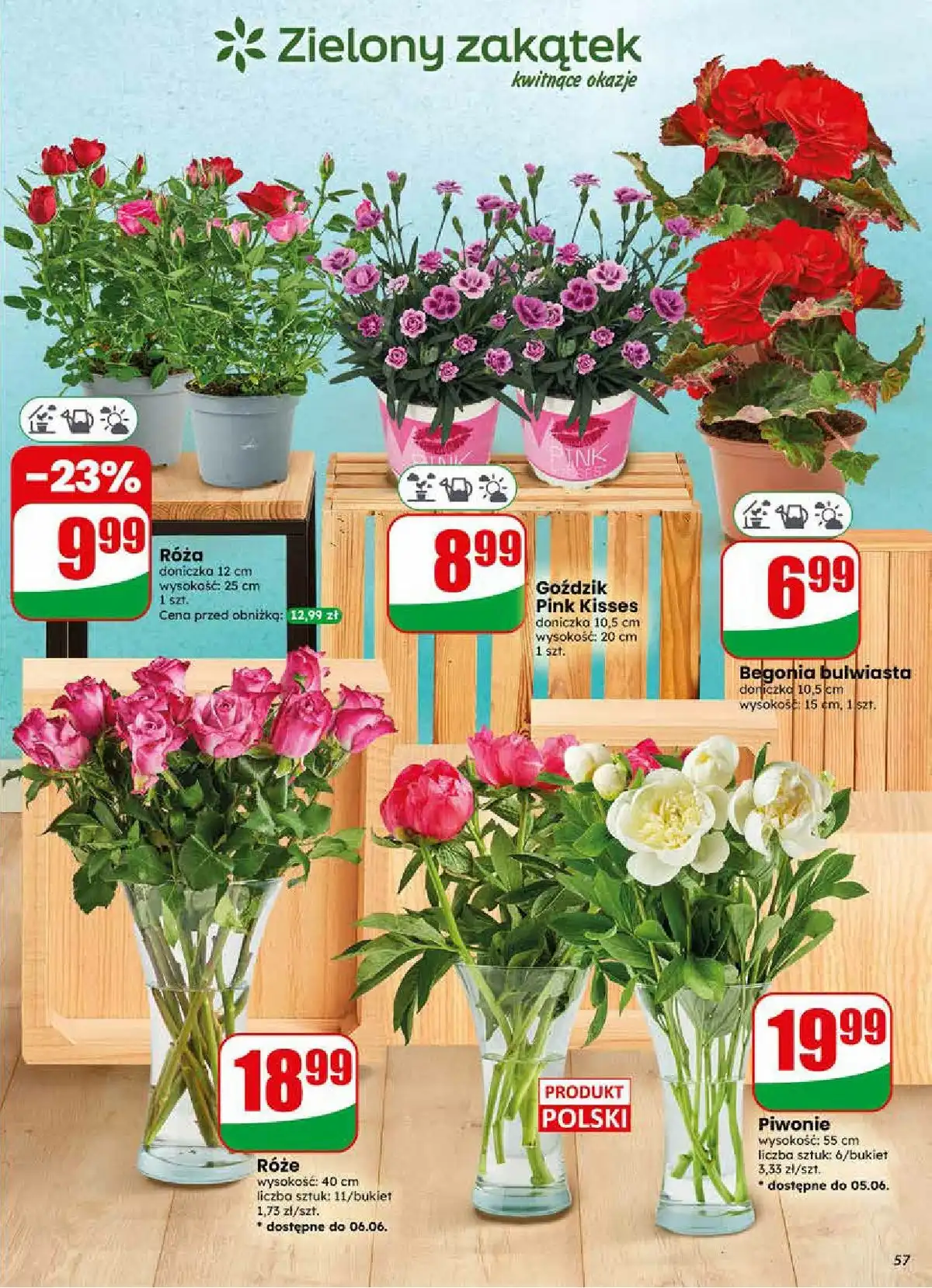 Dino Gazetka Promocyjna Od 10.06.2026 Do 16.05.2026 - Zdjęcie 7 Od 03.06.2026