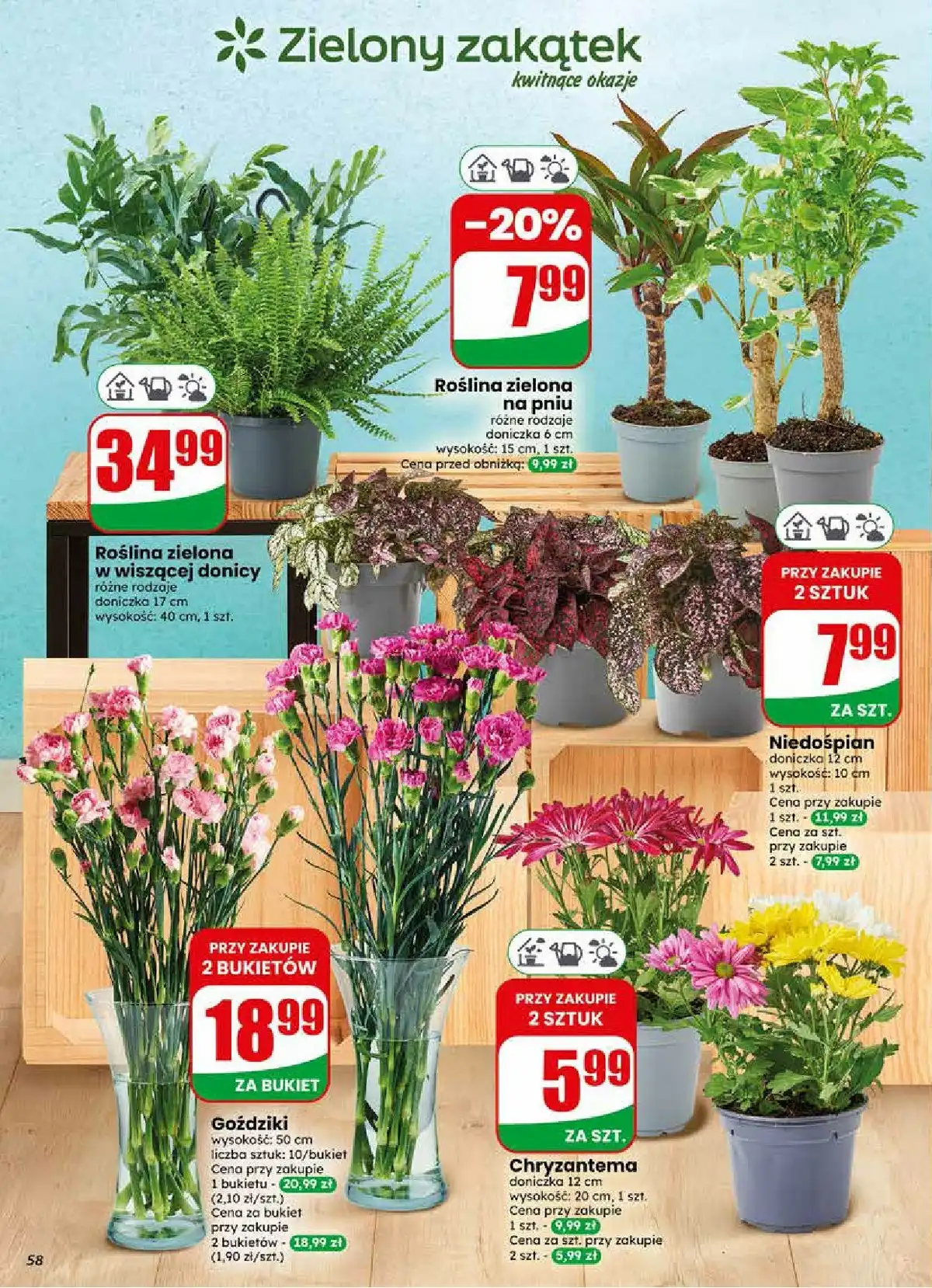 Dino Gazetka Promocyjna Od 10.06.2026 Do 16.05.2026 - Zdjęcie 8 Od 03.06.2026