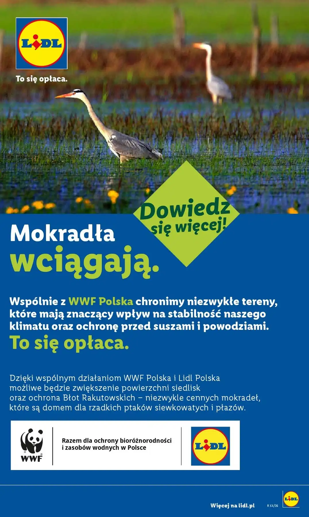 Lidl Gazetka Promocyjna Od 10.08.2026 – 15.08.2026 - Zdjęcie 3 Lidl