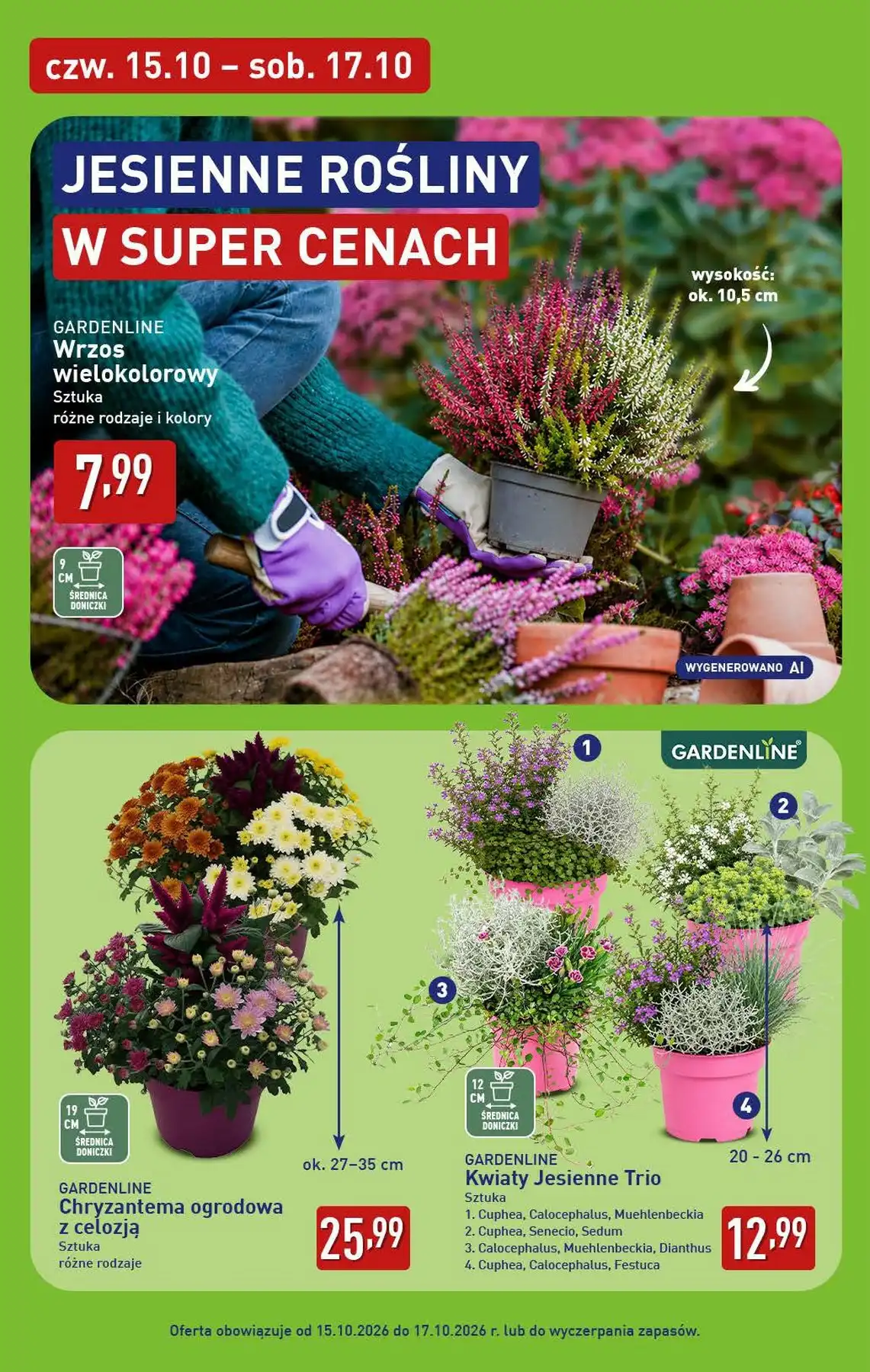 Aldi Gazetka Promocyjna Od 12.10.2026 – 17.10.2026 - Zdjęcie 6 Od 12.10.2026
