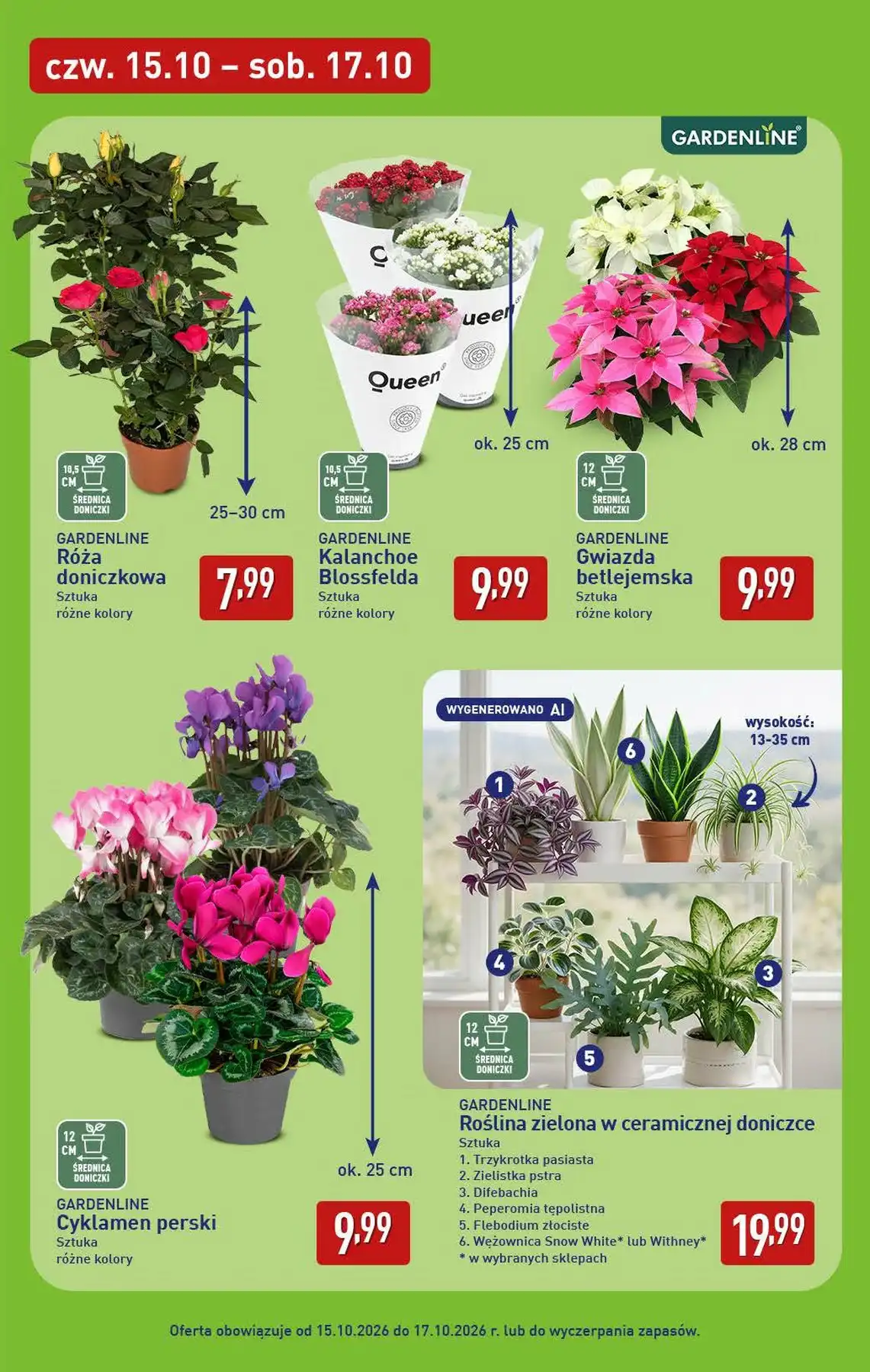 Aldi Gazetka Promocyjna Od 12.10.2026 – 17.10.2026 - Zdjęcie 1 Od 12.10.2026