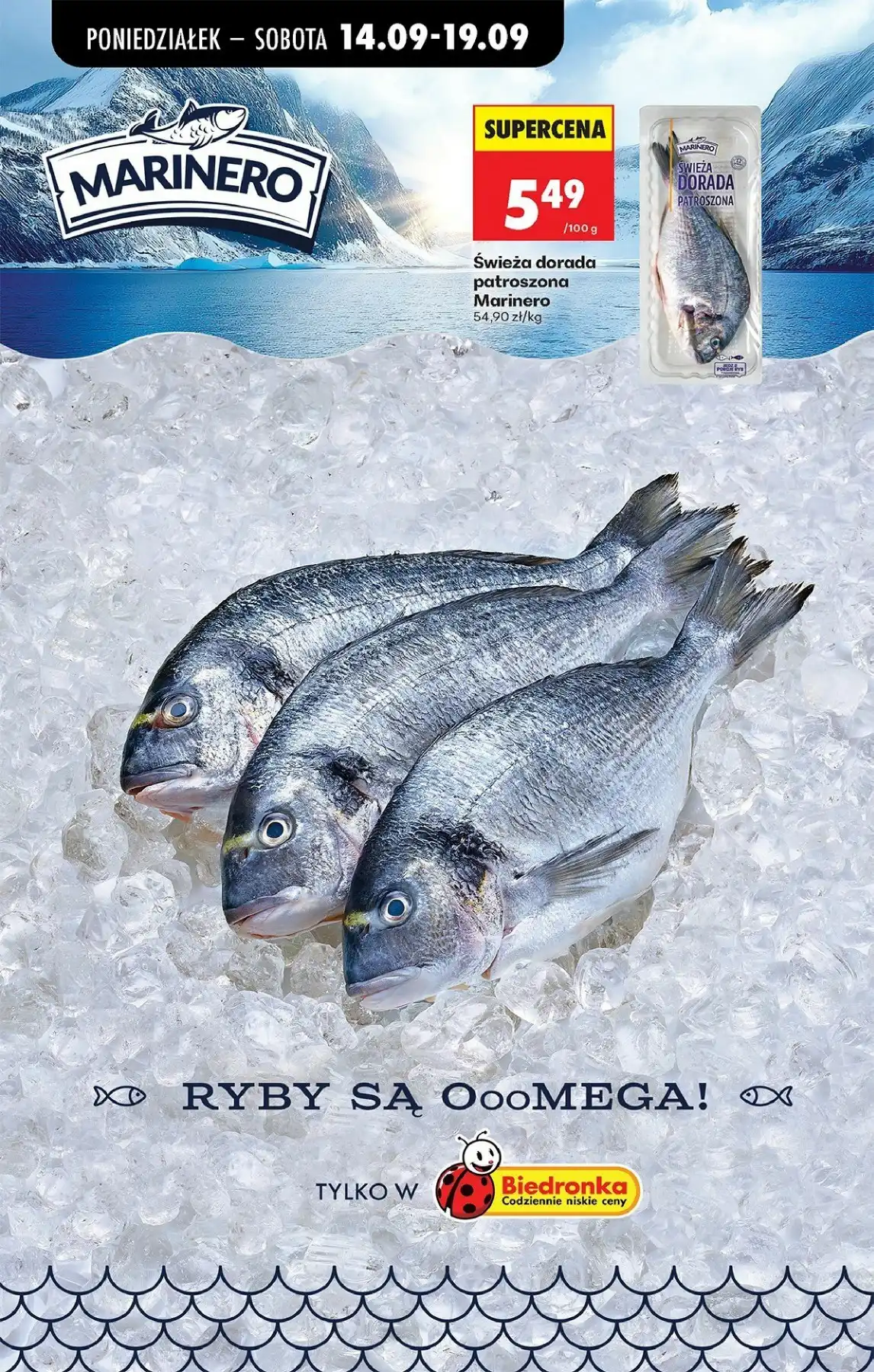 Biedronka Gazetka