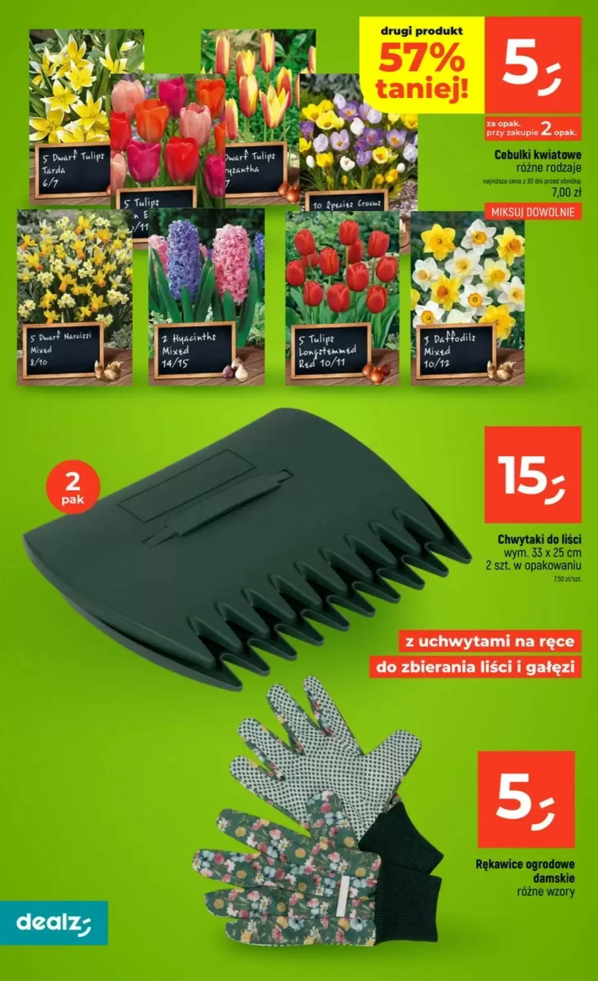 Dealz Gazetka Promocyjna Od 10.09.2026 – 31.10.2026 - Halloween - Zdjęcie 2 Od 10.09.2026